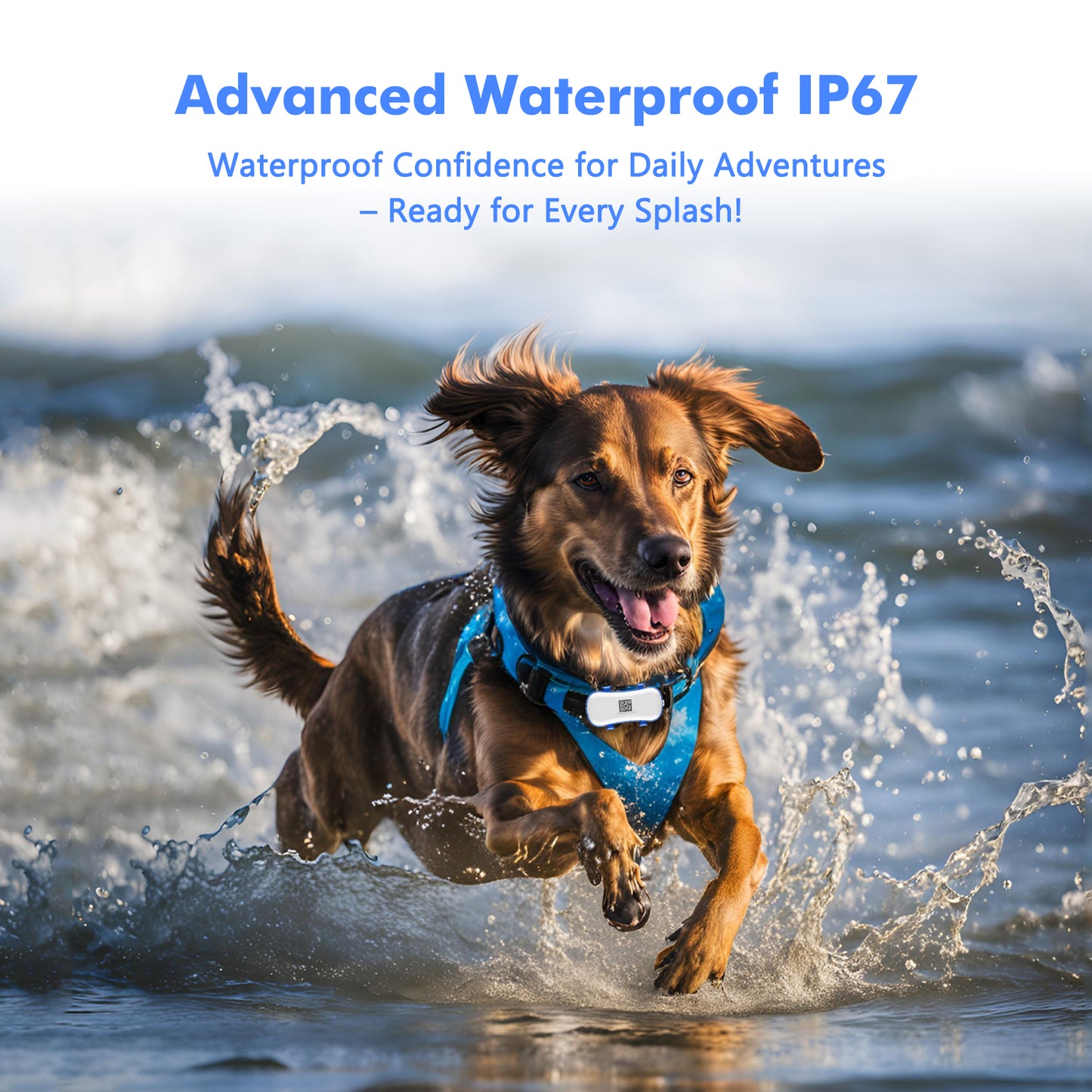 11.5X10.9X4.8 4G Dog Cat GPS Tracker - Waterproof Smart Locator With IOS Android App, Live Tracking & Light Sound Search, Free Trial Included