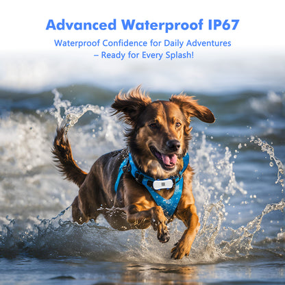 11.5X10.9X4.8 4G Dog Cat GPS Tracker - Waterproof Smart Locator With IOS Android App, Live Tracking & Light Sound Search, Free Trial Included