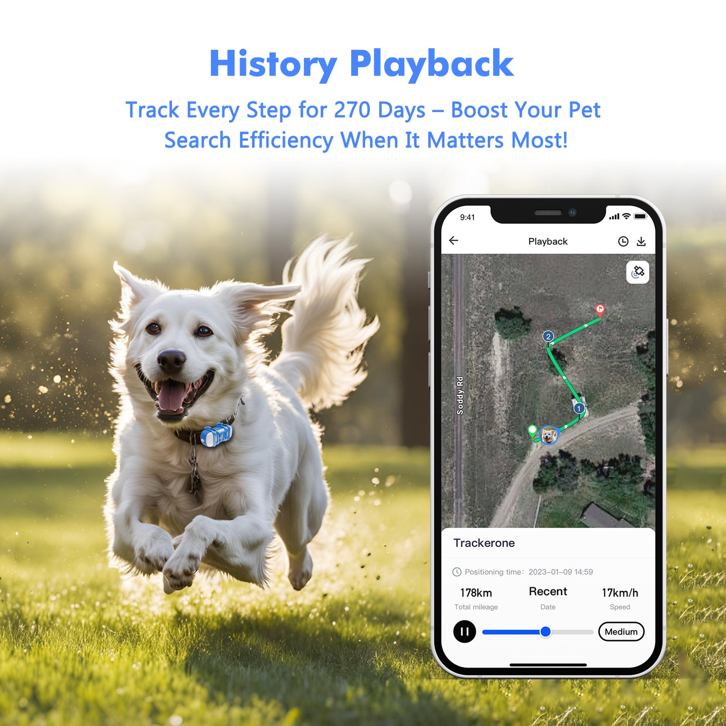 11.5X10.9X4.8 4G Dog Cat GPS Tracker - Waterproof Smart Locator With IOS Android App, Live Tracking & Light Sound Search, Free Trial Included